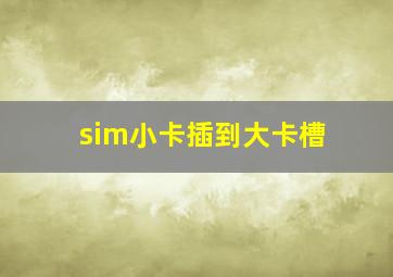 sim小卡插到大卡槽