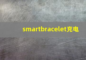 smartbracelet充电