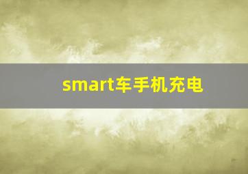 smart车手机充电