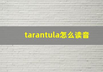 tarantula怎么读音