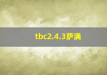 tbc2.4.3萨满