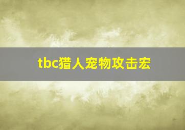 tbc猎人宠物攻击宏