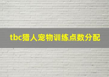 tbc猎人宠物训练点数分配