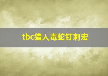 tbc猎人毒蛇钉刺宏