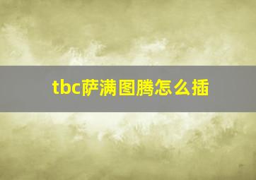 tbc萨满图腾怎么插