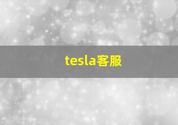 tesla客服