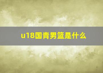 u18国青男篮是什么