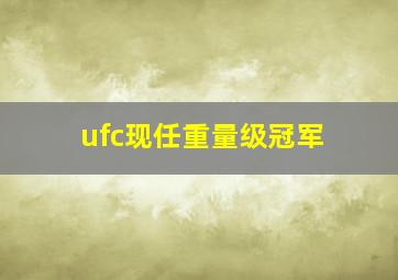 ufc现任重量级冠军