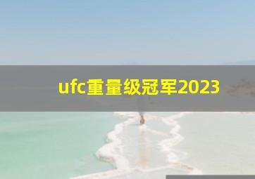 ufc重量级冠军2023