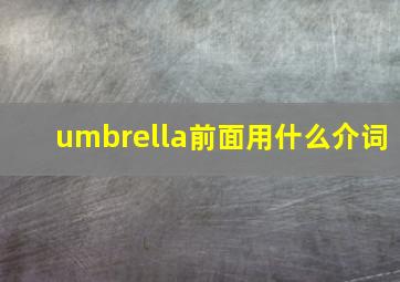 umbrella前面用什么介词