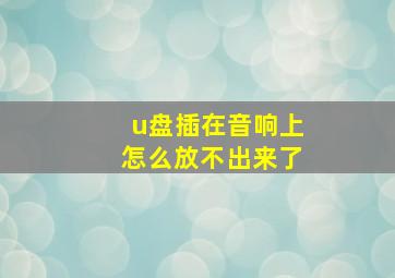 u盘插在音响上怎么放不出来了