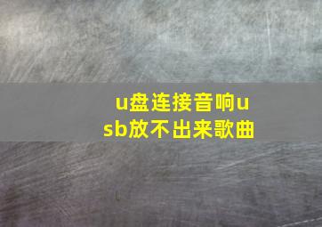 u盘连接音响usb放不出来歌曲