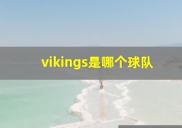 vikings是哪个球队