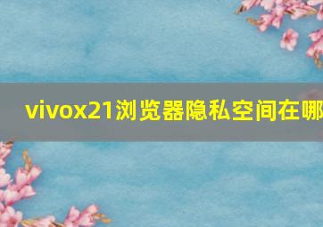 vivox21浏览器隐私空间在哪