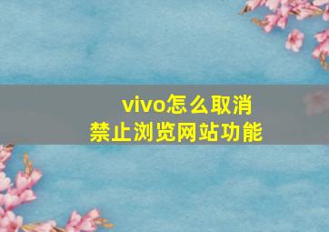 vivo怎么取消禁止浏览网站功能