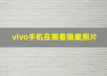 vivo手机在哪看隐藏照片