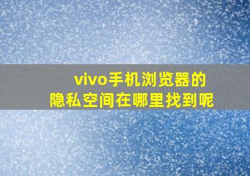 vivo手机浏览器的隐私空间在哪里找到呢