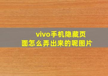 vivo手机隐藏页面怎么弄出来的呢图片