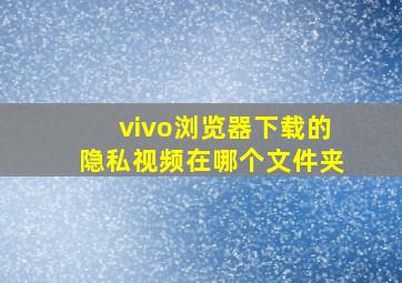 vivo浏览器下载的隐私视频在哪个文件夹