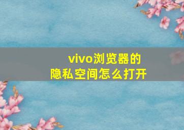 vivo浏览器的隐私空间怎么打开