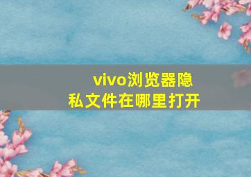 vivo浏览器隐私文件在哪里打开