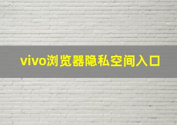 vivo浏览器隐私空间入口