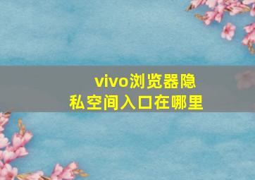 vivo浏览器隐私空间入口在哪里