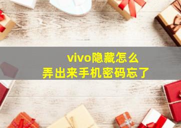 vivo隐藏怎么弄出来手机密码忘了