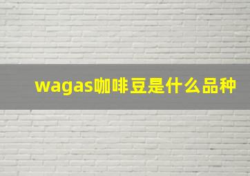 wagas咖啡豆是什么品种