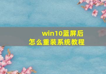 win10蓝屏后怎么重装系统教程