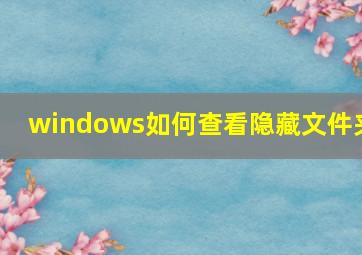 windows如何查看隐藏文件夹