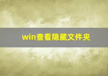 win查看隐藏文件夹