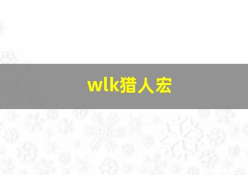 wlk猎人宏