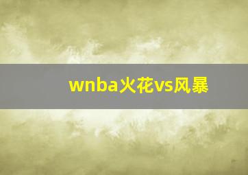 wnba火花vs风暴