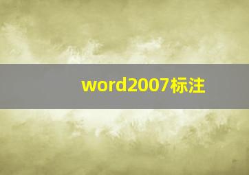 word2007标注