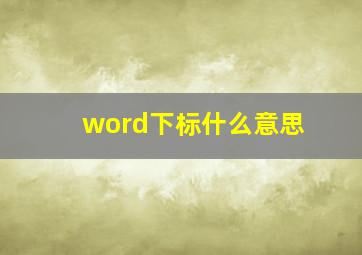 word下标什么意思