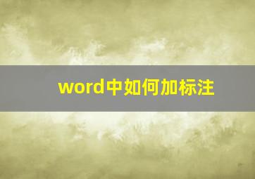 word中如何加标注