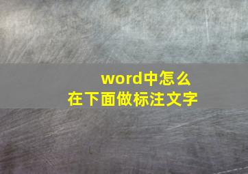 word中怎么在下面做标注文字