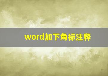 word加下角标注释