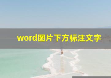 word图片下方标注文字