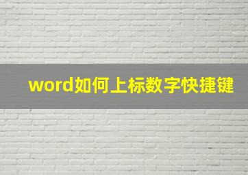 word如何上标数字快捷键