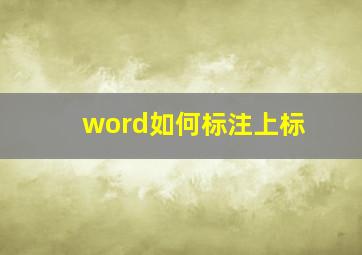 word如何标注上标