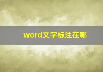 word文字标注在哪