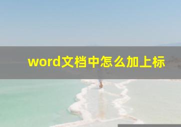 word文档中怎么加上标