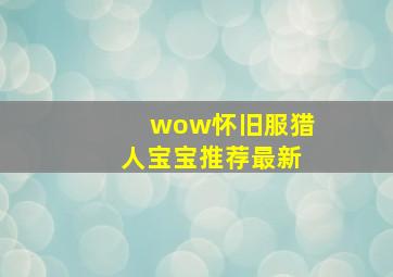 wow怀旧服猎人宝宝推荐最新