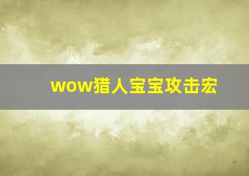 wow猎人宝宝攻击宏