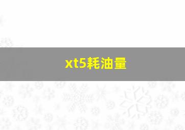 xt5耗油量