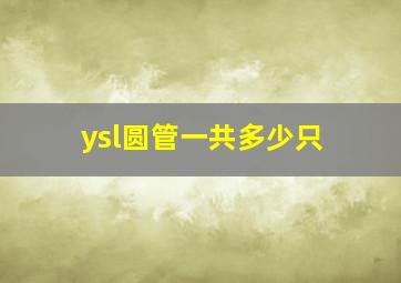 ysl圆管一共多少只