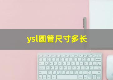 ysl圆管尺寸多长