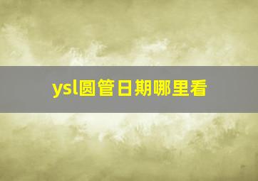 ysl圆管日期哪里看